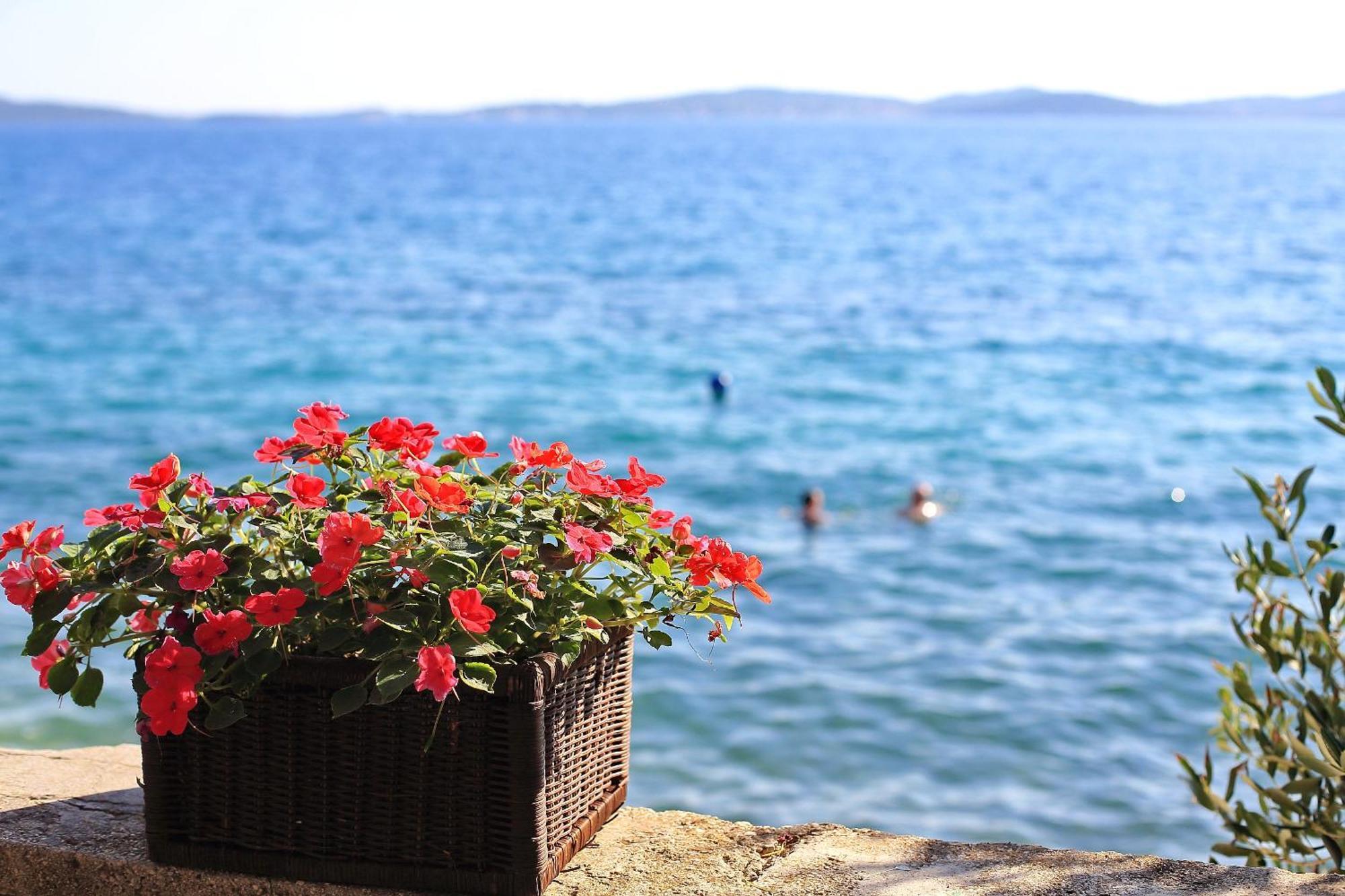 Apartmani Valerija I Joso Bibinje Bagian luar foto